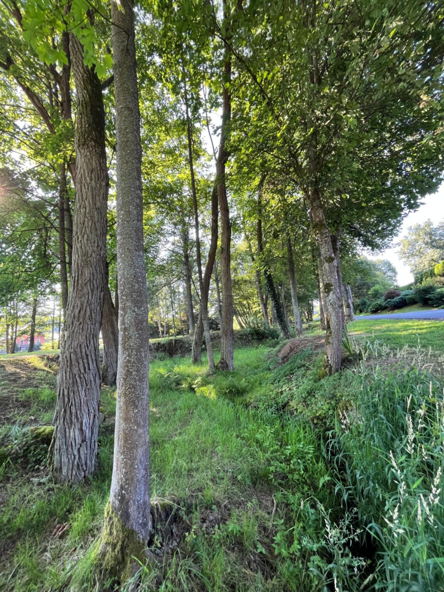 Apartman Pisarovka Lesna  Exterior foto